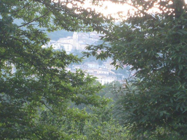 Myriam Country House B&B 梅尔科利亚诺 外观 照片